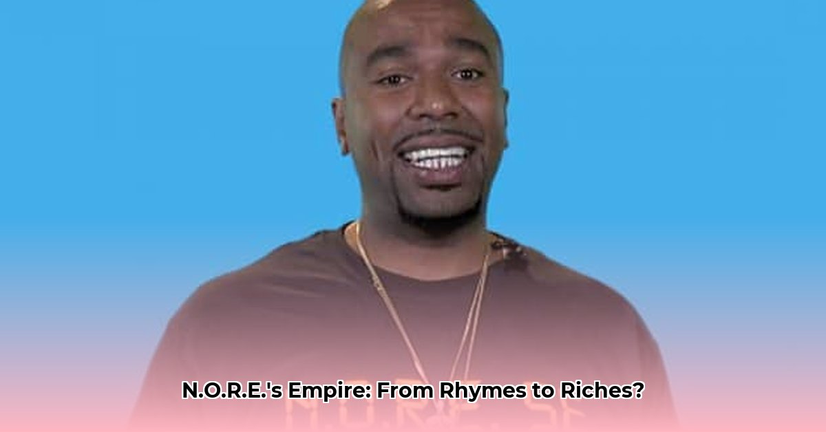 nore-net-worth